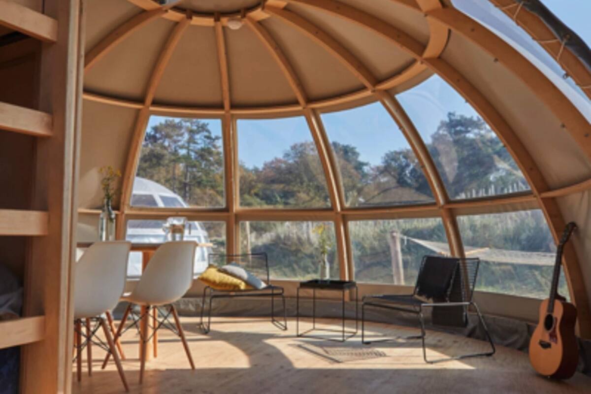A cozy, dome-shaped room with a large window offering a scenic view of trees and a car outside.