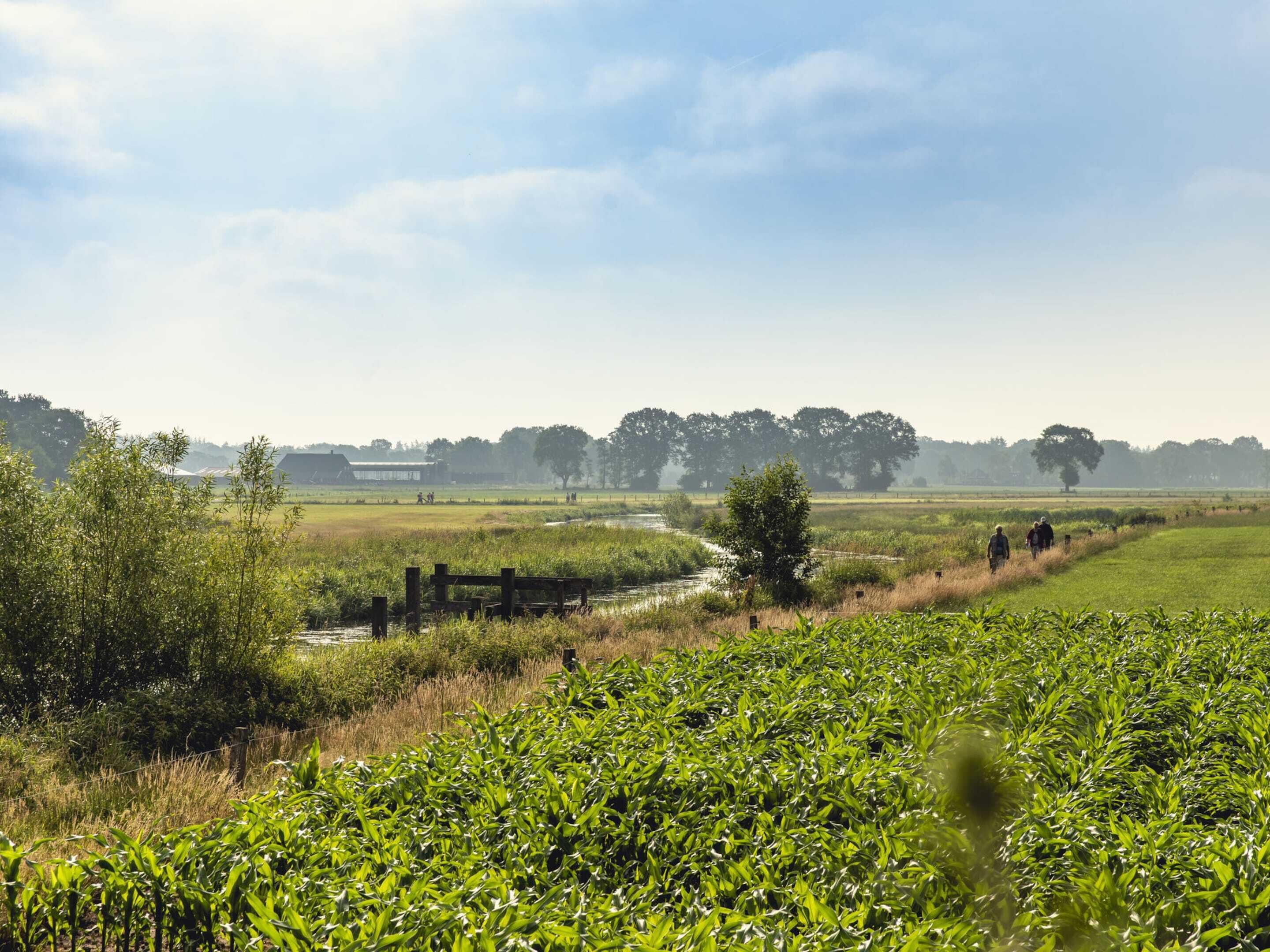 Ländliche Landschaft mit Fluss, Feldern und einem Holzzaun.