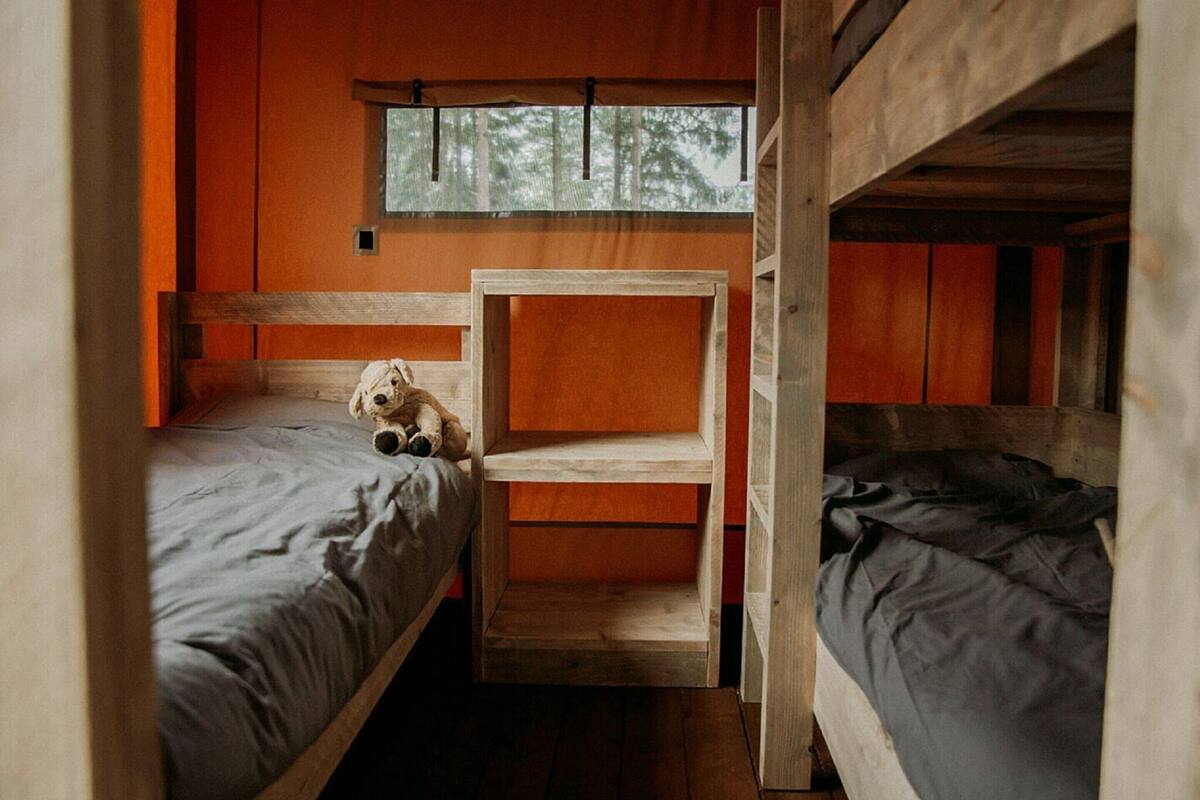 A small, cozy room with two bunk beds, a wooden shelf, and a window with a view of trees.