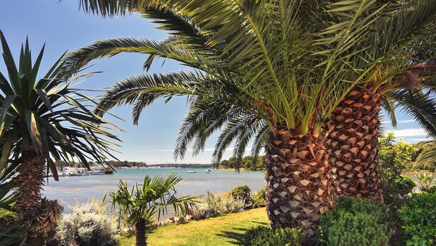 Garden - Airconditioned Studio Apartment With Seaview, not far From the Beach (Medulin)