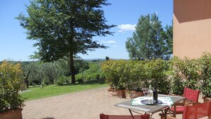 Une terrasse extérieure avec une table et des chaises, entourée de plantes en pot et offrant une vue sur la campagne.