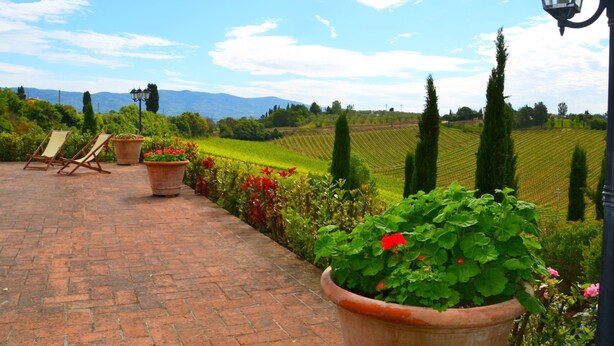 Une terrasse avec un sol en briques, des sièges d’extérieur, des plantes en pot et une vue sur les vignes.