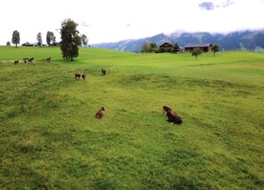 View from property - Comfortable Holiday Home in Kleinarl With Garden (Kleinarl)