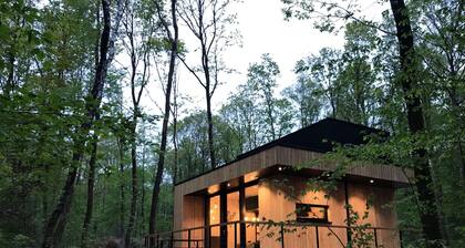Modern, Wooden Chalet With Wood Burning Stove, in the Forest
