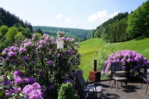 View from property - Large House in Winterberg in the Sauerland Region (Winterberg)