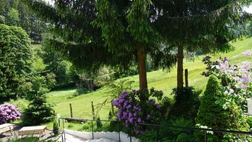 Vista desde la propiedad