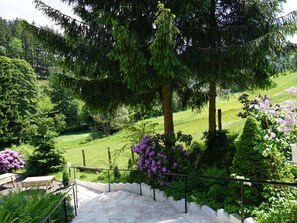 View from property - Large House in Winterberg in the Sauerland Region (Winterberg)