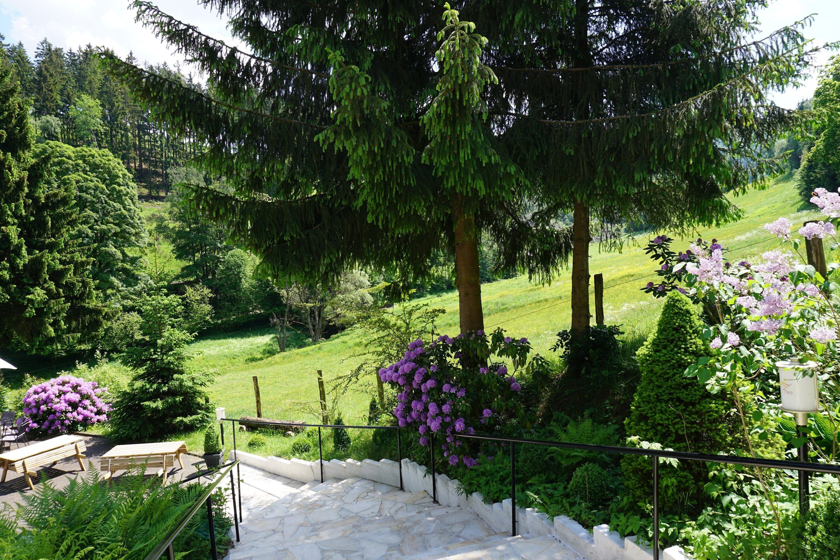 A stone staircase leading to a balcony with a view of a lush garden and a large tree.