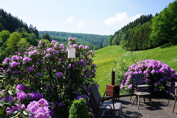 View from property
