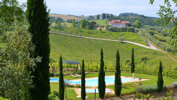 Un vigneto con piscina e sedie a sdraio.