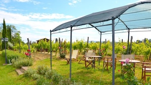 Un vigneto con una zona salotto coperta e sedie.