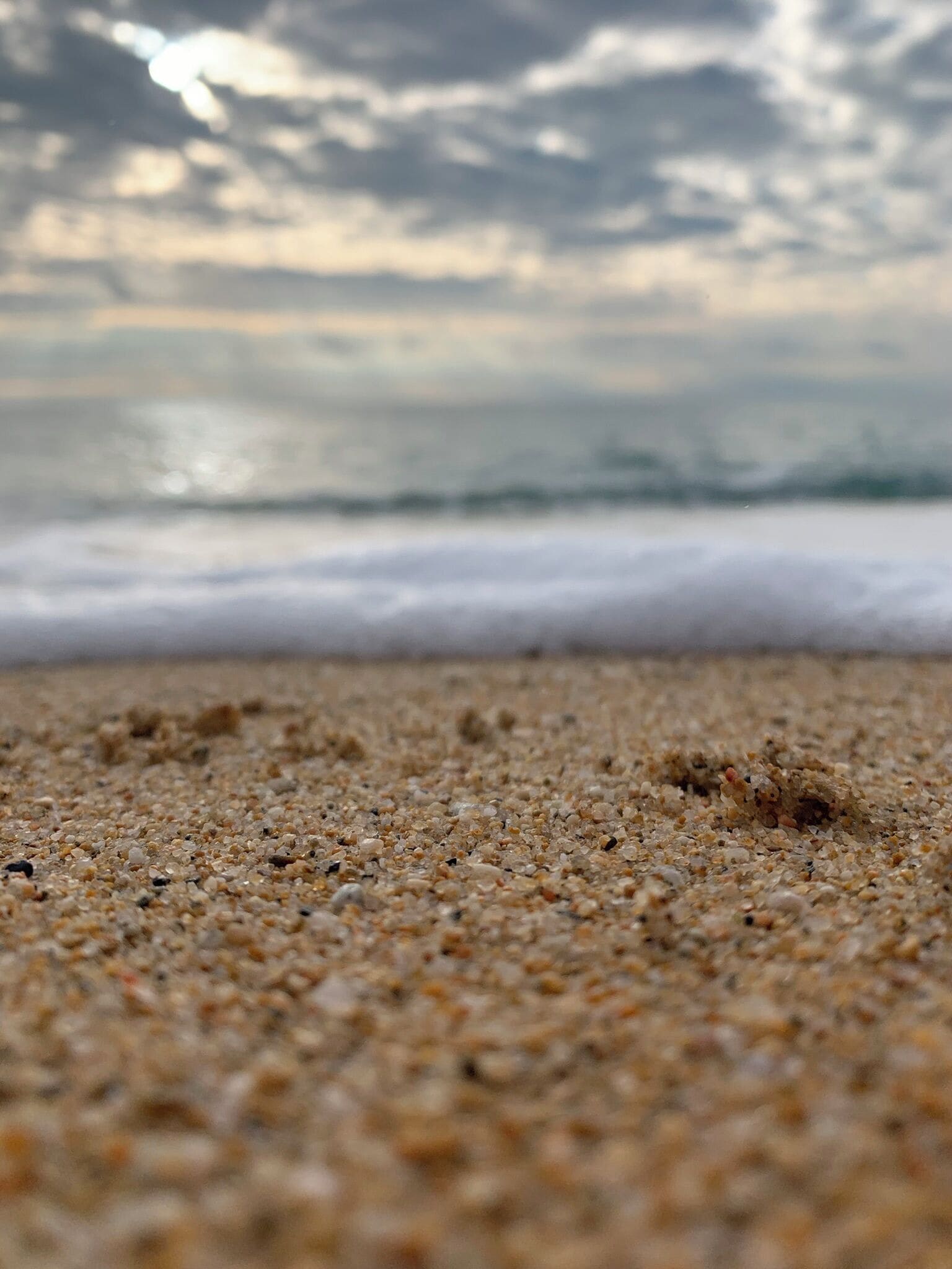 Foto - Lemon Tree GuestHouse