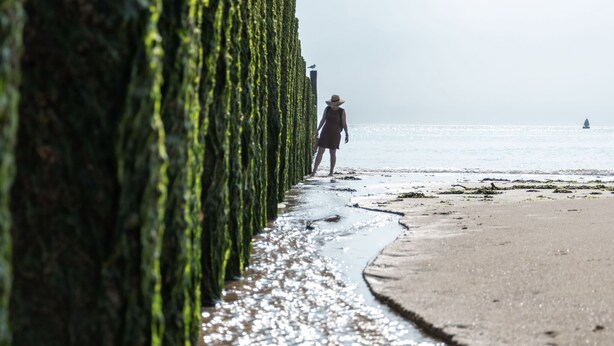 A beach with a person walking along a path lined with green seaweed-covered rocks. - Comfortable Chalet With Microwave, on a Holiday Park 1 km. From the Beach (Koudekerke)