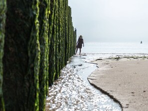 A beach with a person walking along a path lined with green seaweed-covered rocks. - Comfortable Chalet With Microwave, on a Holiday Park 1 km. From the Beach (Koudekerke)