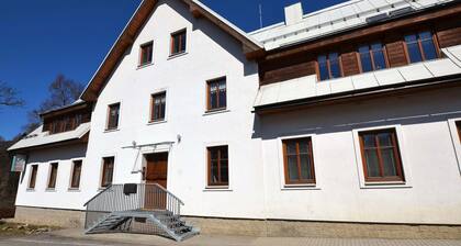 Attractive Apartment in Rokytnice nad Jizerou Near Ski Area