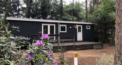 Nice Chalet With Garden, in the Antwerp Kempen
