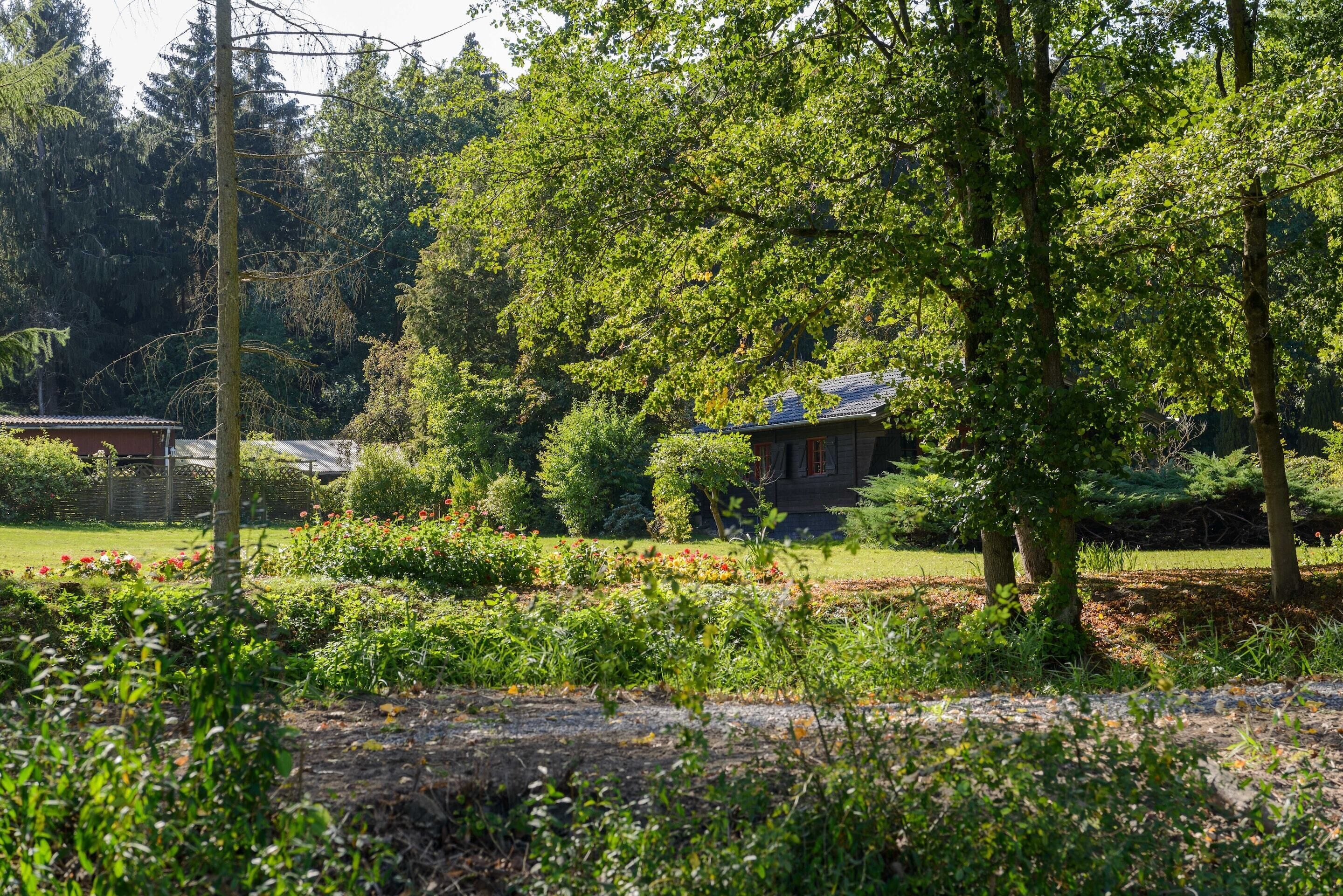 A garden with a house surrounded by trees and shrubs.