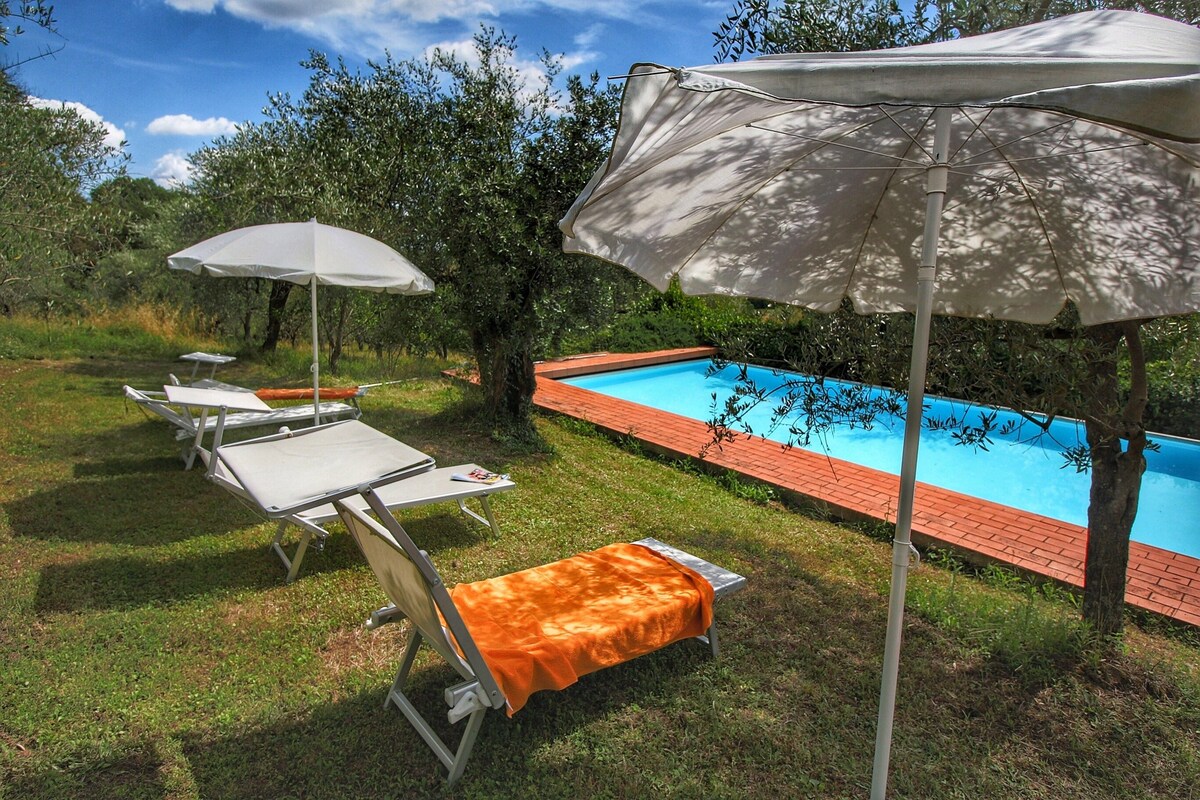 A poolside area with lounge chairs and umbrellas.