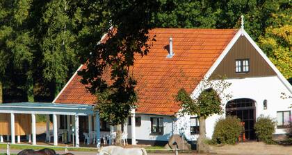 Tidy Chalet With a Microwave, in the Achterhoek
