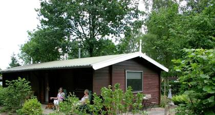 Tidy Chalet With a Microwave, in the Achterhoek