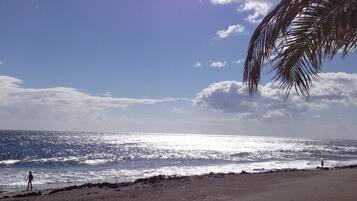 Classic Apartment, 2 Bedrooms | View from property