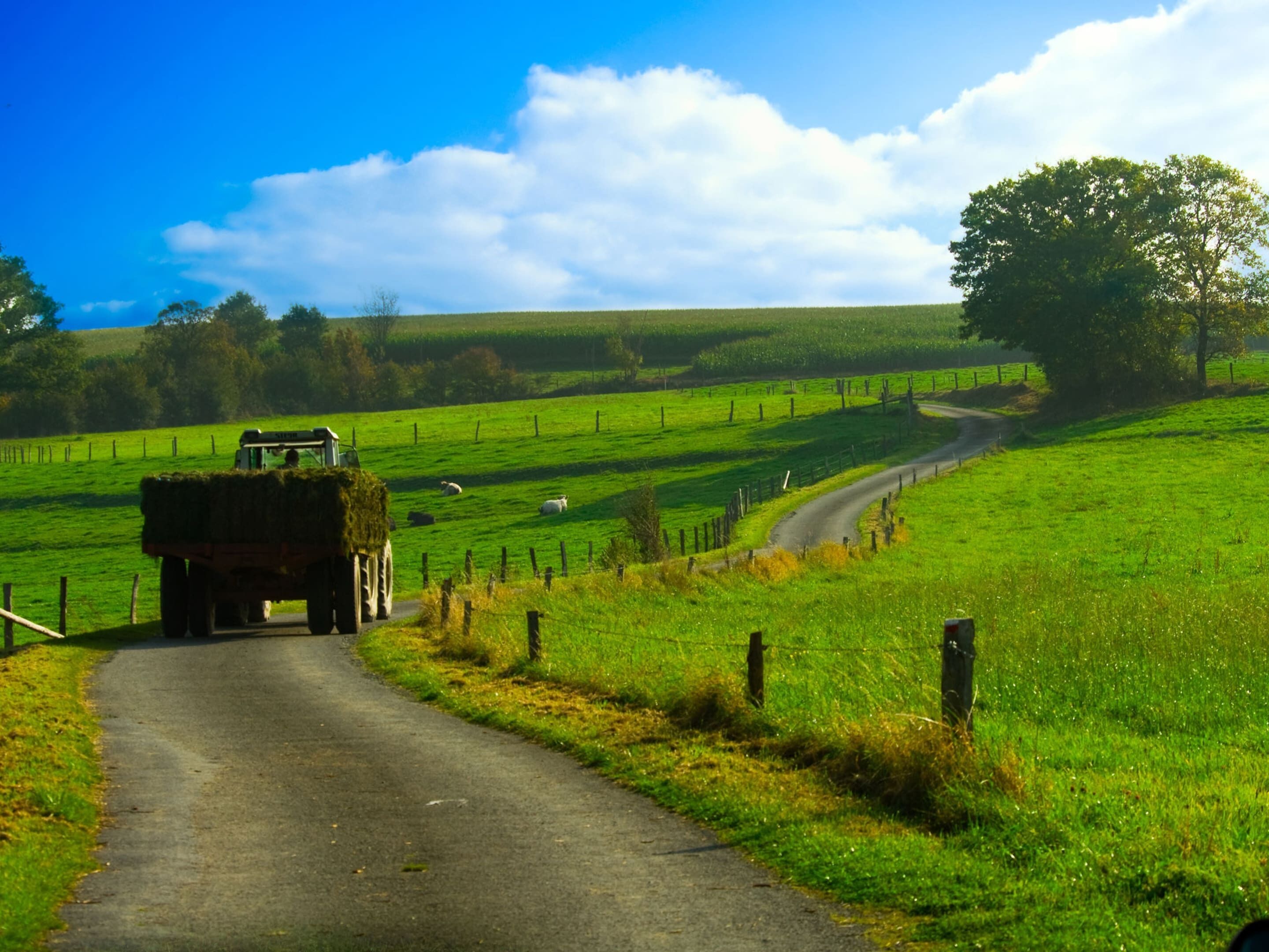 Een landweg met een tractor die hooi vervoert, omringd door groene velden en een heldere lucht.