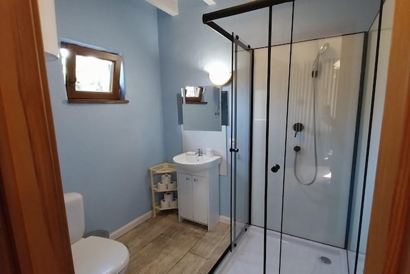 A bathroom with a toilet, sink, and glass-enclosed shower. - Holiday Homes for 7 People in Swinoujscie (Swinoujscie)