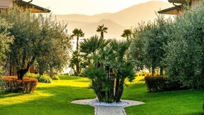 Jardin