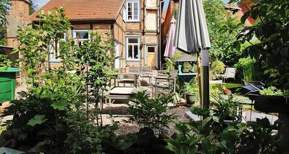 Apartment, Plau am See