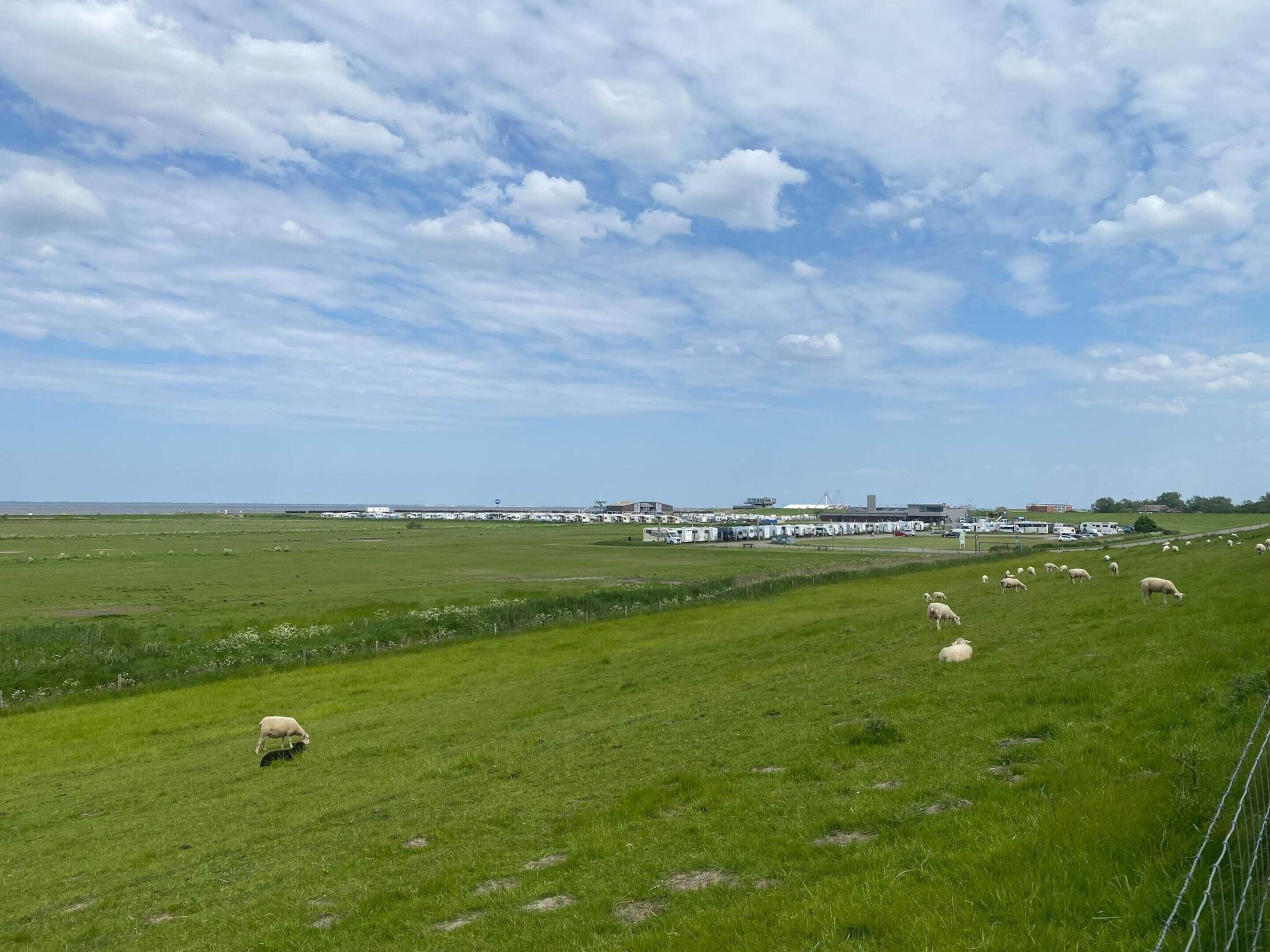 A rural landscape with a grassy field, sheep, and a distant building complex.