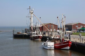 Utsikt fra overnattingsstedet