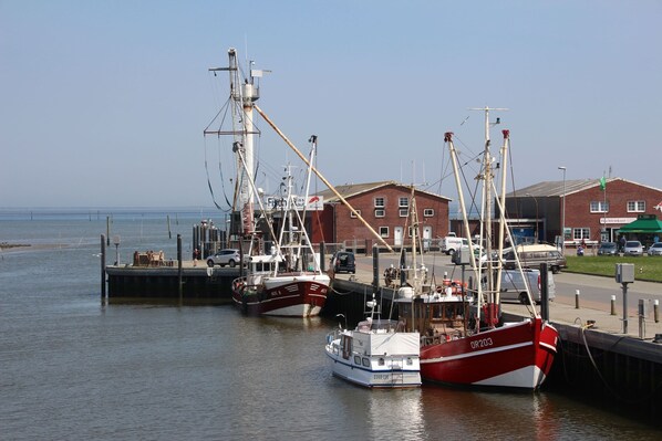 Utsikt fra overnattingsstedet