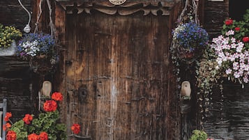 Classic-Apartment, 3 Schlafzimmer | Innendetails