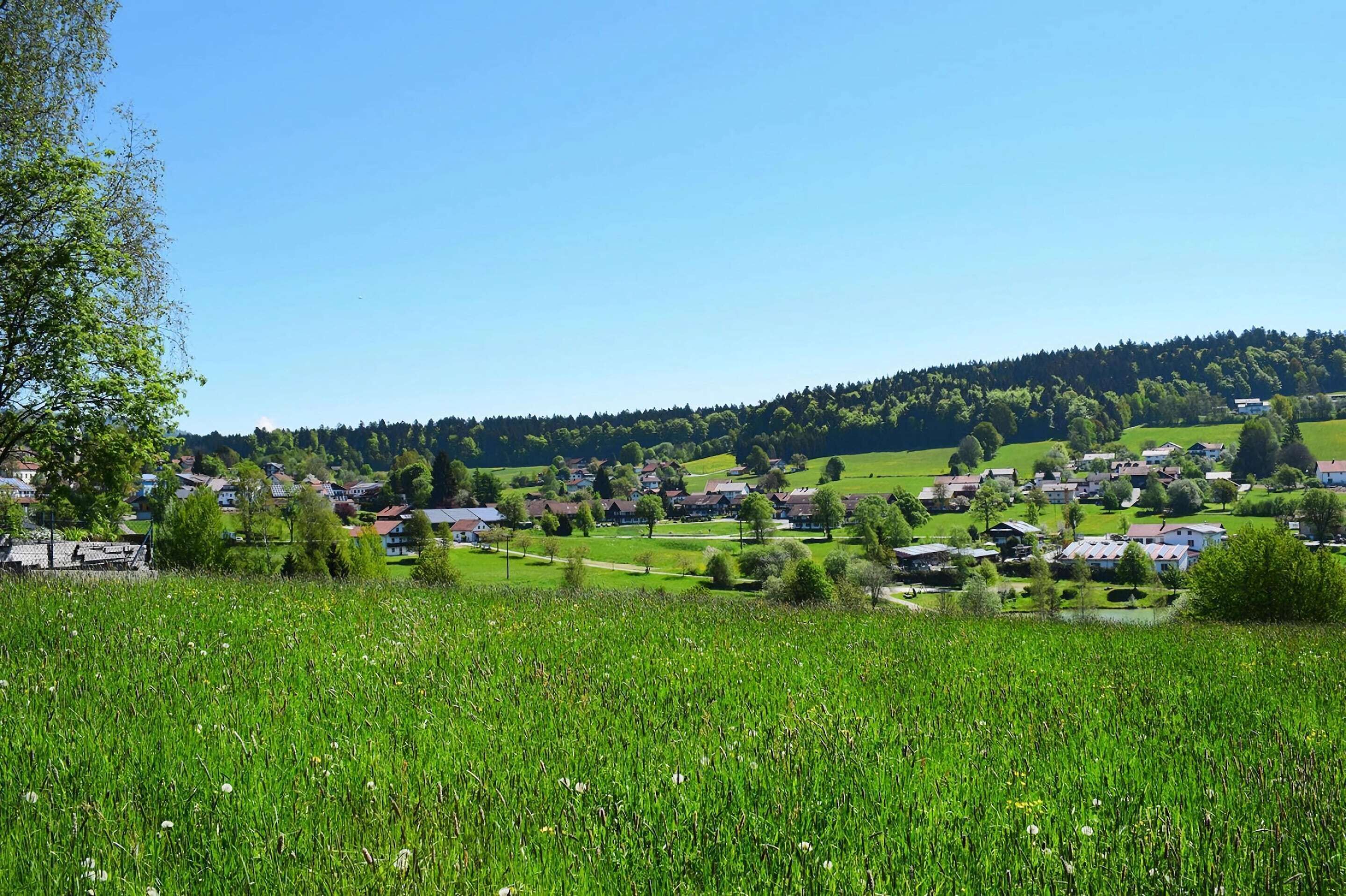 A rural village with houses spread across green fields and a forested hill in the background.