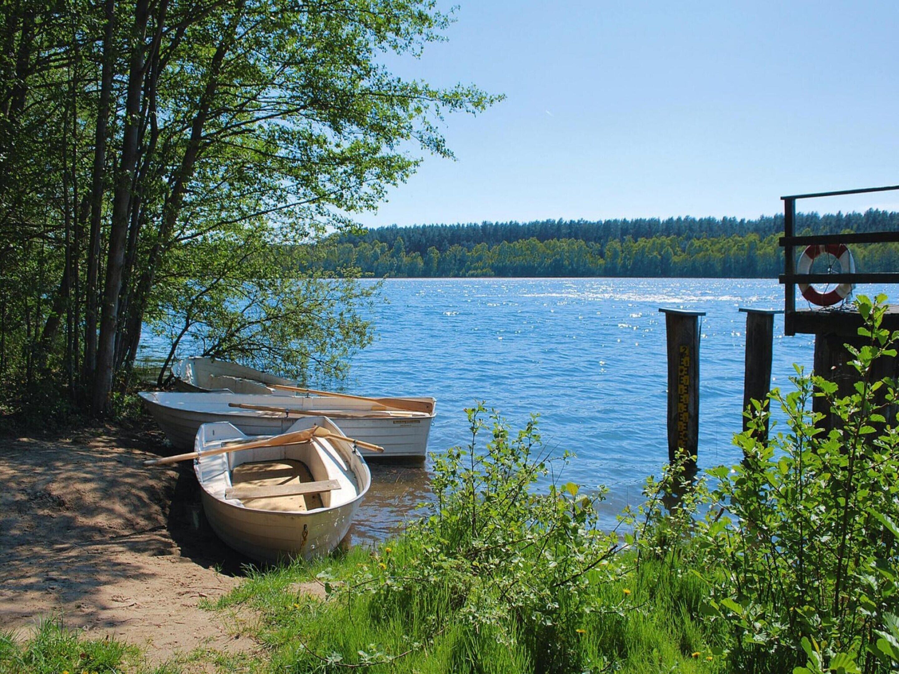 Escena junto a un lago con barcos amarrados cerca de un muelle de madera, rodeado de árboles y follaje.