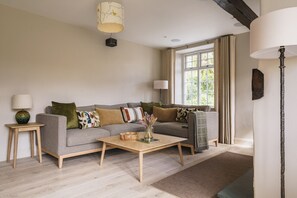 TV connectée, cheminée, livres, chaîne hi-fi