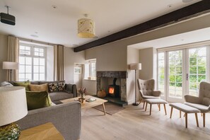 TV connectée, cheminée, livres, chaîne hi-fi