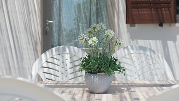Unclassified image, 1 of 103, button - Holiday Rental Tenuta Masiedd 1, Cisternino (Cisternino)