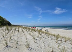 Deluxe Apartment, 2 Bedrooms | View from property - Apartment, Zingst (Zingst)