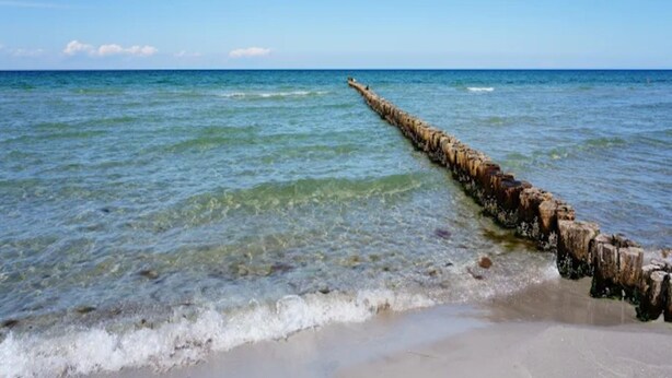 A long wooden structure extending into the sea from the shore. - Apartment, Zingst (Zingst)