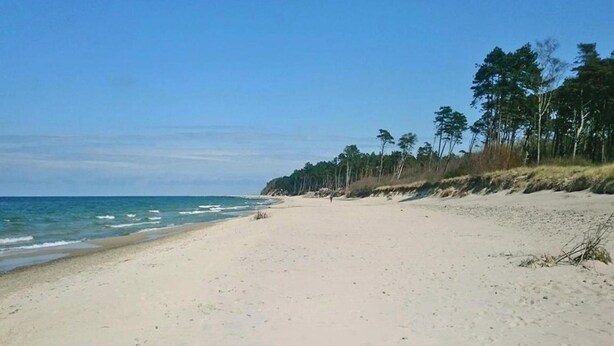 A wide sandy beach with gentle waves, a clear sky, and a line of trees in the background. - Cozy Holiday Homes Near the Beach in Jaroslawiec (Postomino)