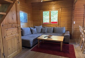 Deluxe huis, 3 slaapkamers | Woonkamer | Een open haard en een dvd-speler