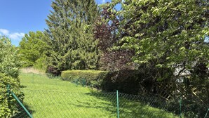 A fenced garden area with a variety of trees and shrubs, including a neatly trimmed hedge and tall coniferous trees. - Blockhaus, Bad Sachsa (Bad Sachsa)
