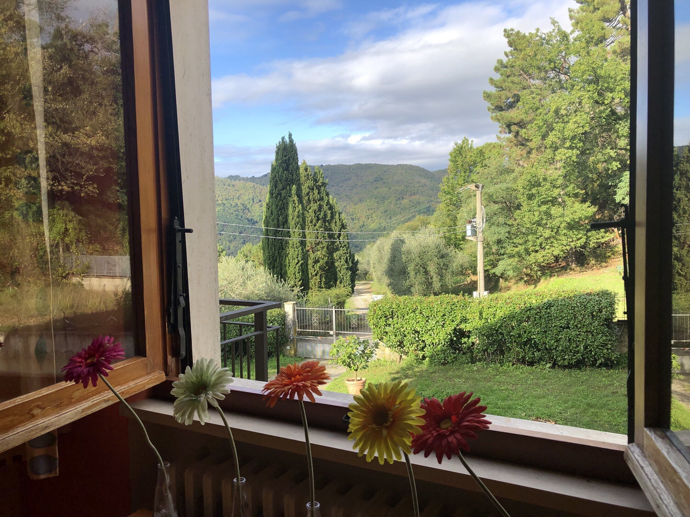 Rumah Klasik, 3 kamar tidur | Pemandangan dari properti