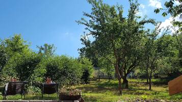 Classic House, 4 Bedrooms | Garden