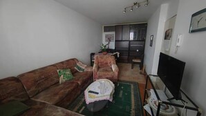 Un salon avec un canapé marron, une petite table ronde sur laquelle se trouve une carafe, un fauteuil, un téléviseur posé sur un meuble et, au fond, un coin cuisine.