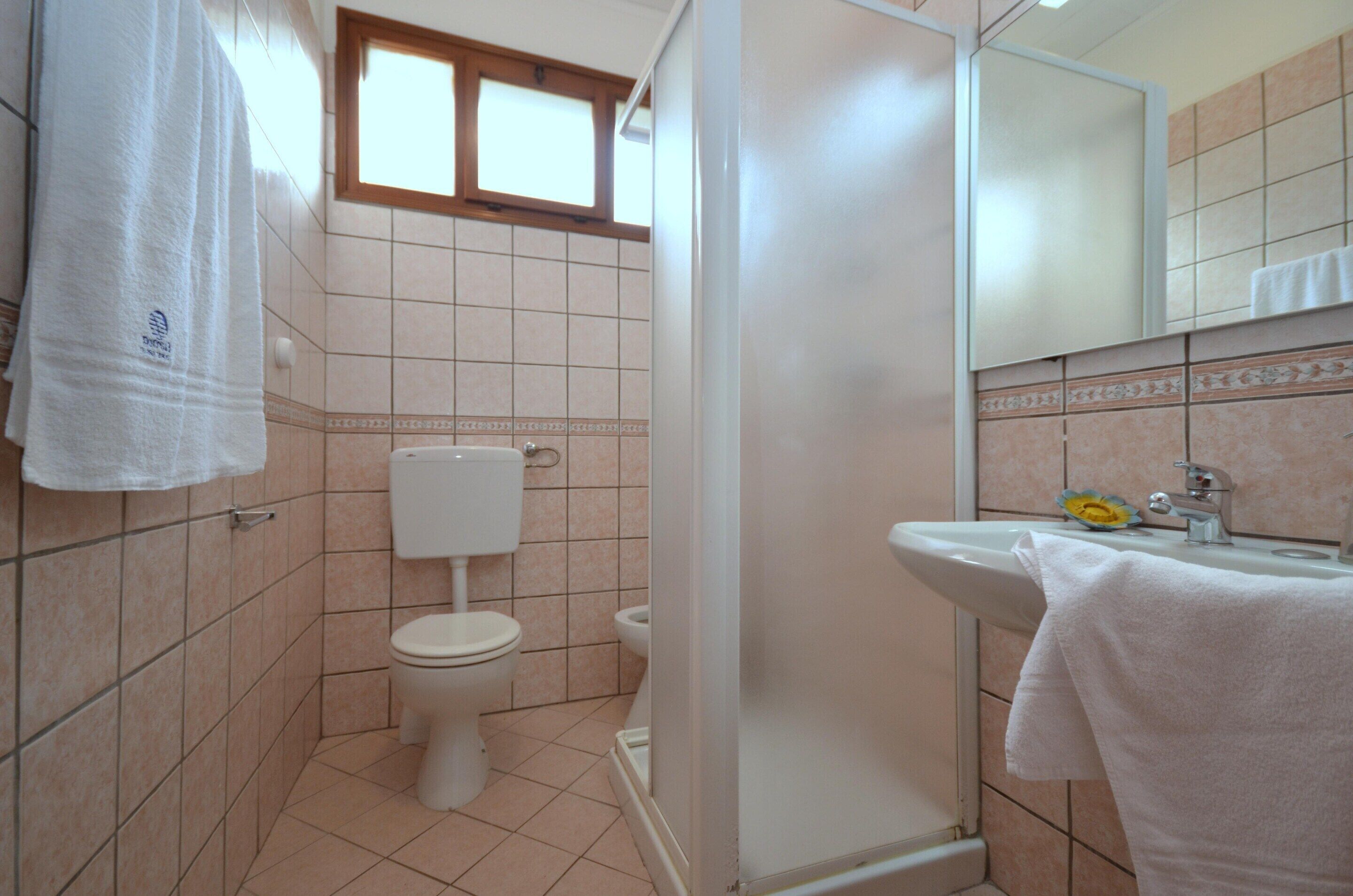 A bathroom with a toilet, sink, and mirror.