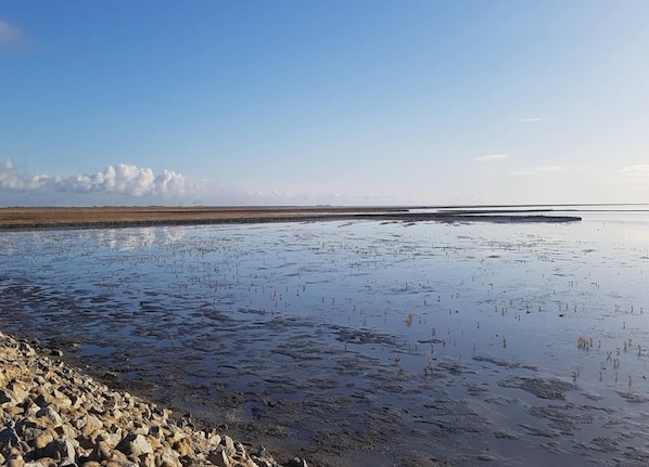 Comfort-hus - 3 soveværelser | Udsigt fra overnatningsstedet