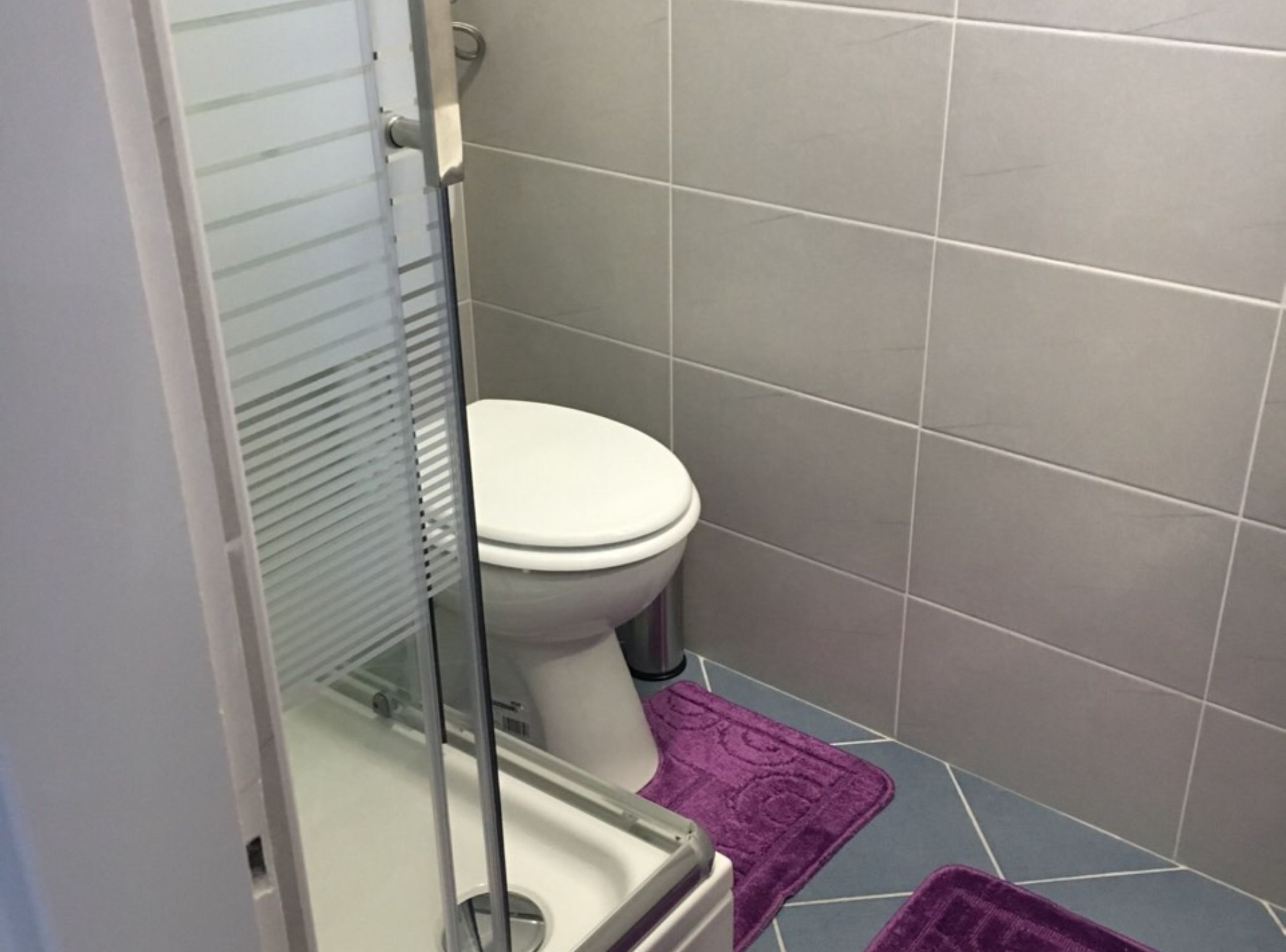 A bathroom with a toilet, a glass shower enclosure, and a purple bath mat.
