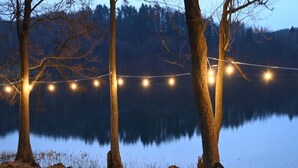 Eine Uferlandschaft mit Bäumen und einer Lichterkette.